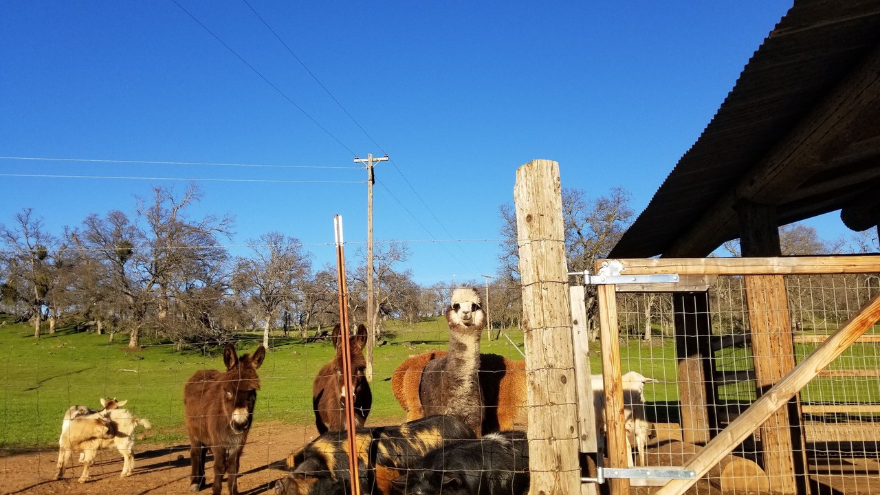 Photo of Outdoor in Catheys Valley