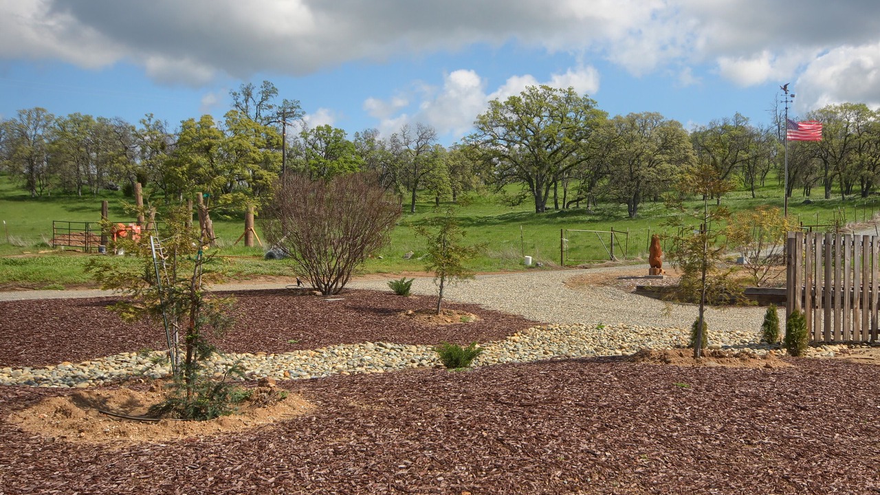Photo of Outdoor in Catheys Valley