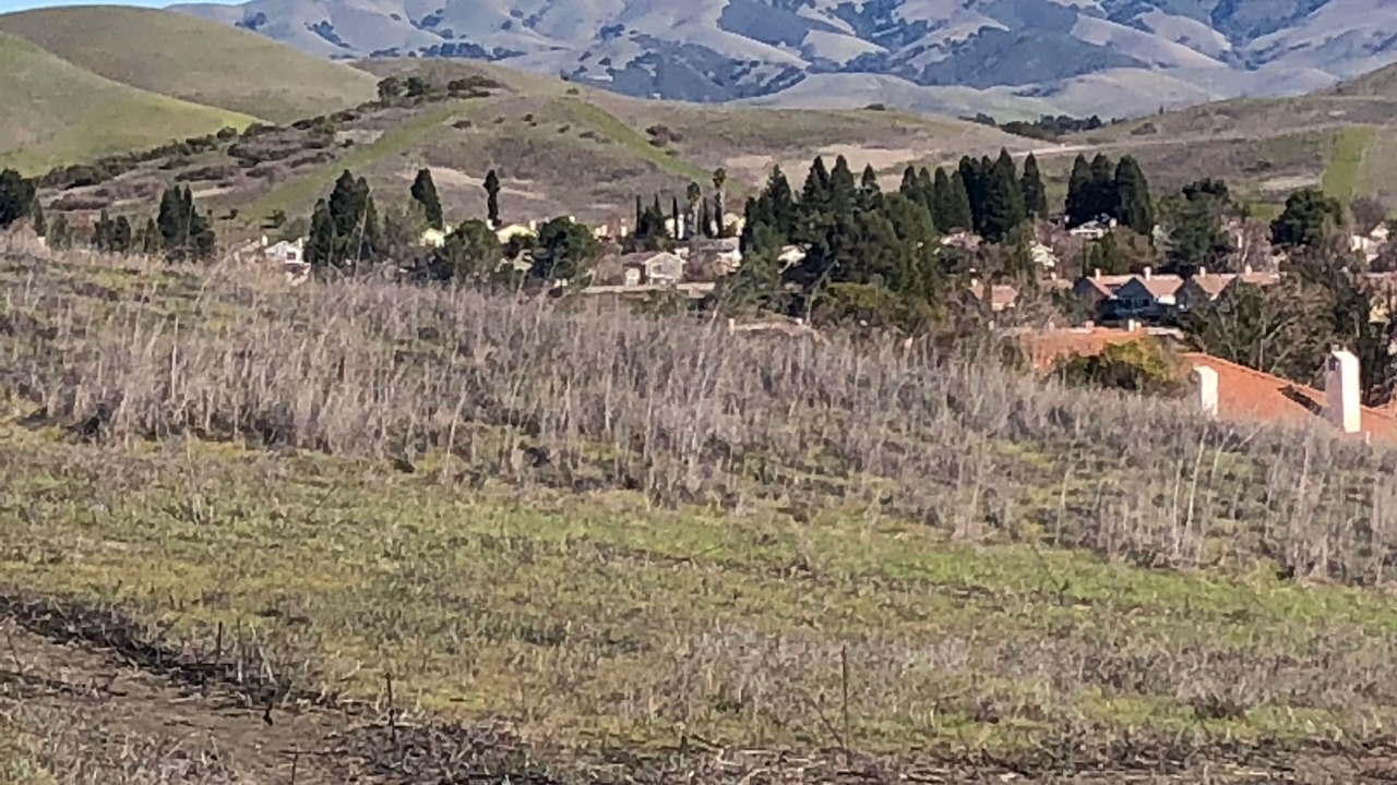 Photo of Outdoor in San Ramon