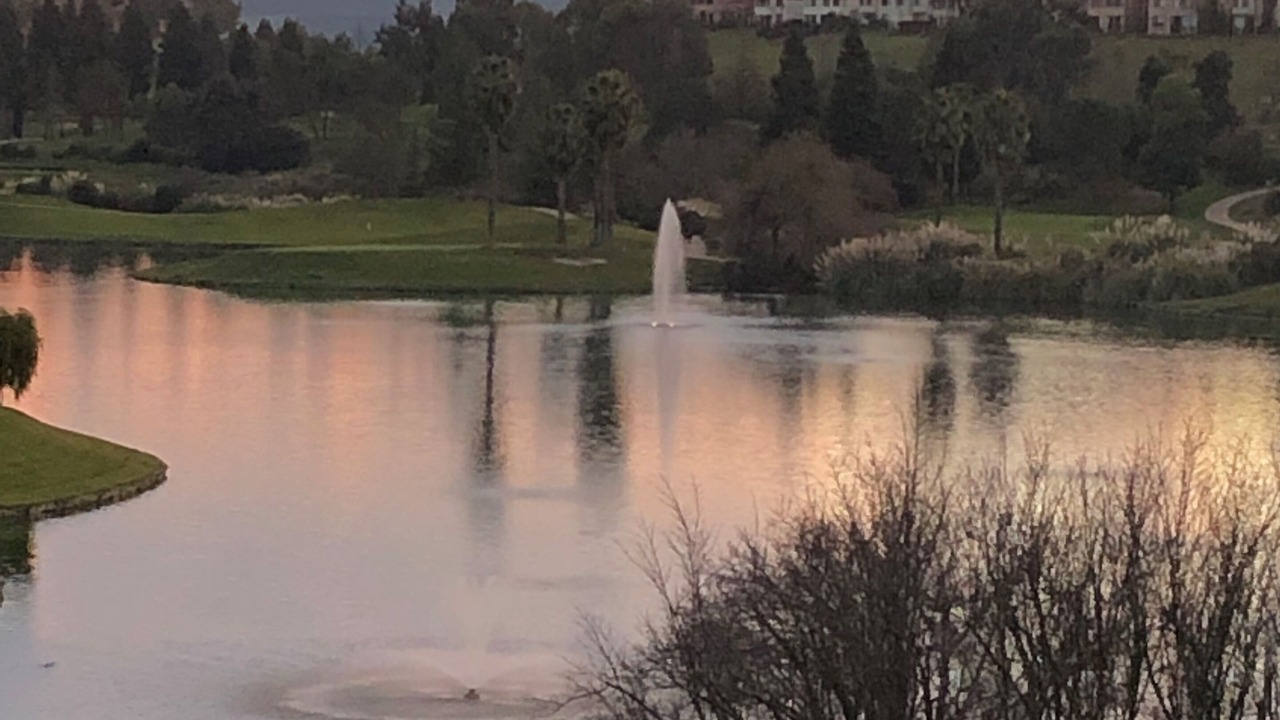 Photo of Outdoor in San Ramon