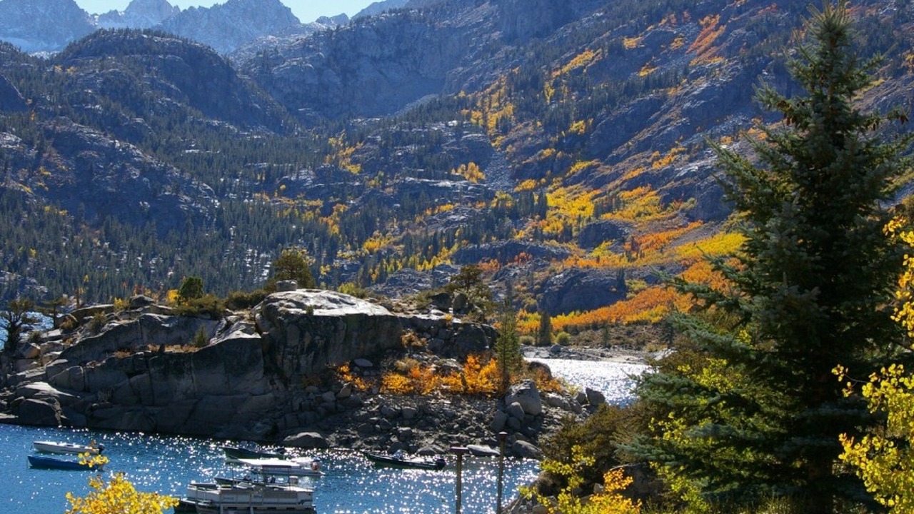 Photo of Others in West Bishop