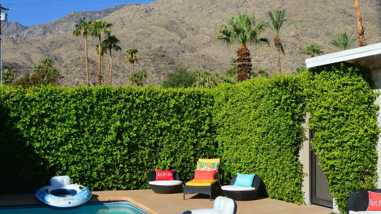 Photo of Outdoor in The Mesa