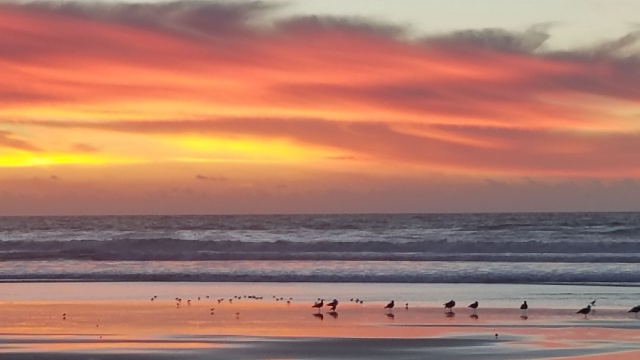 Photo of Others in Oceano