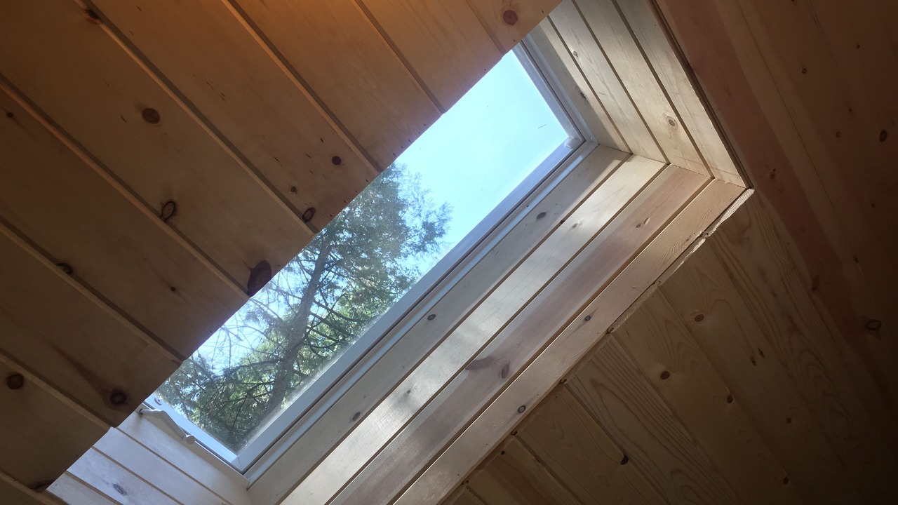 Photo of Others in Sugar Pine