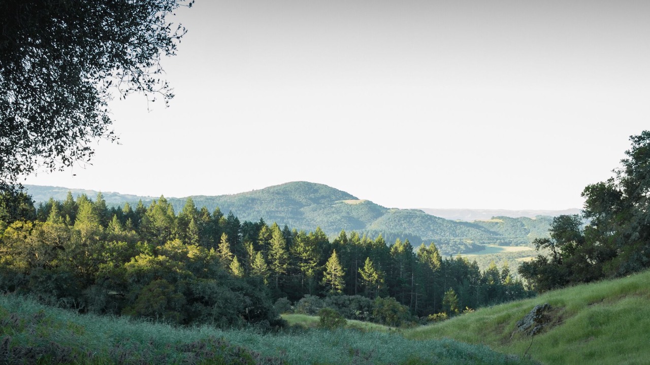 Photo of Outdoor in Santa Rosa
