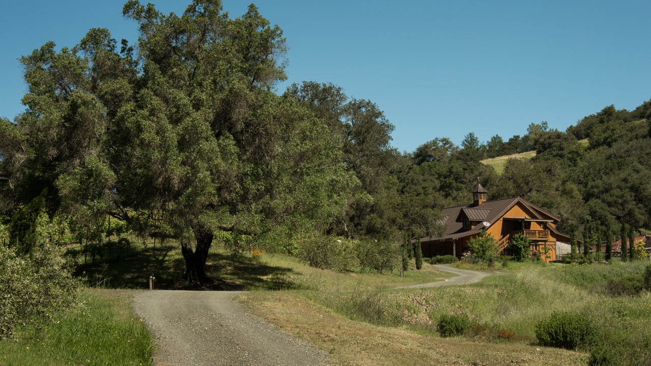 Photo of Others in Santa Rosa