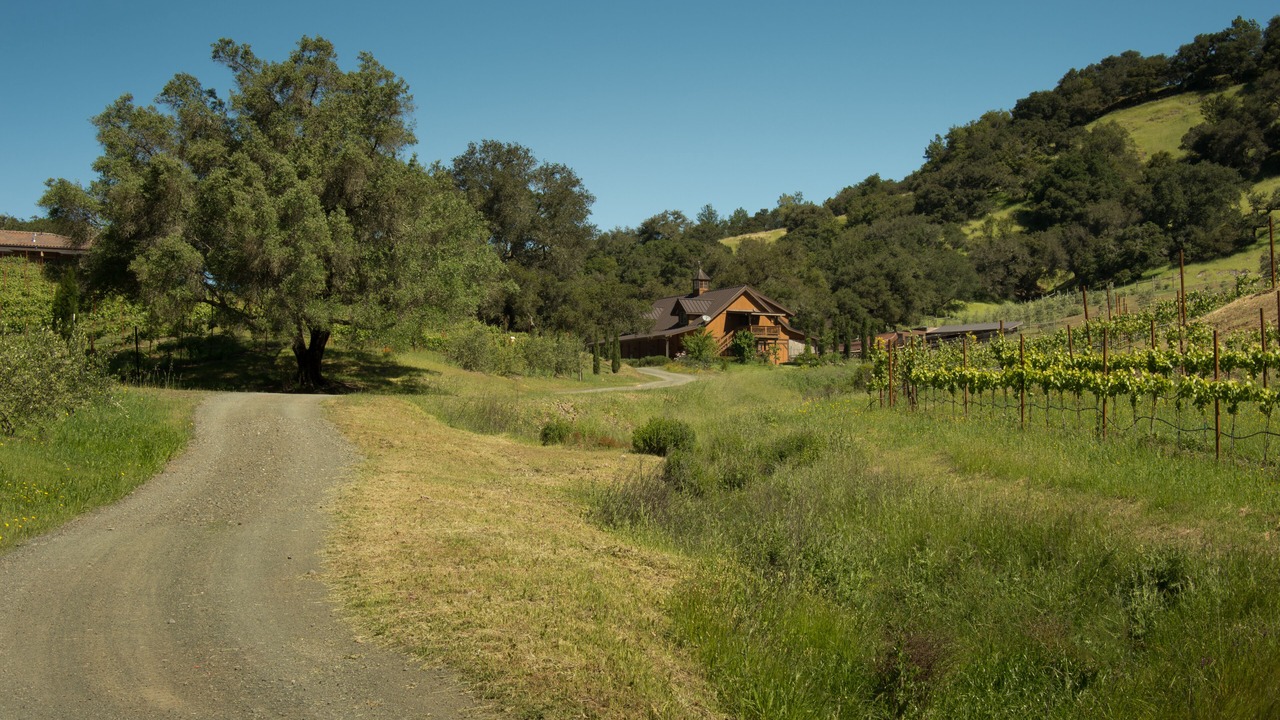 Photo of Outdoor in Santa Rosa