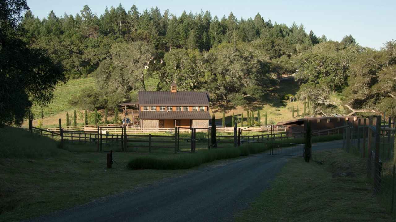 Photo of Others in Santa Rosa