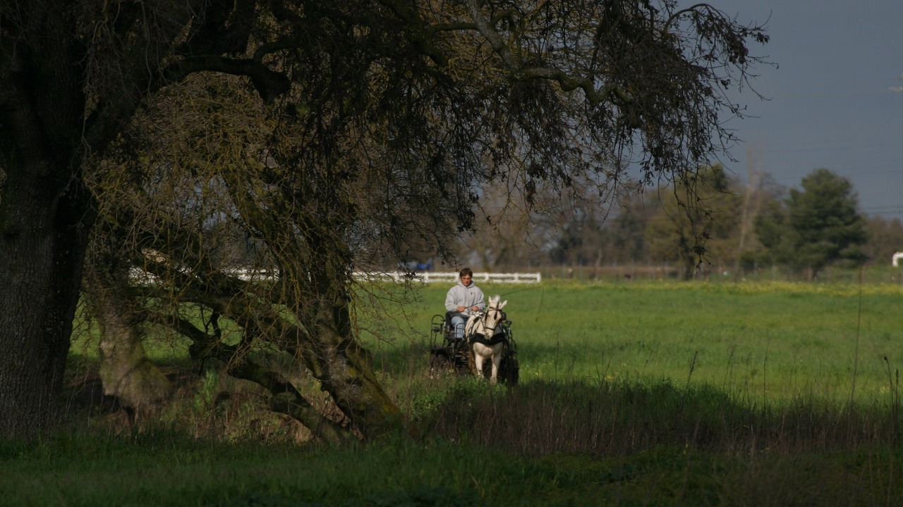 Photo of Others in Victor