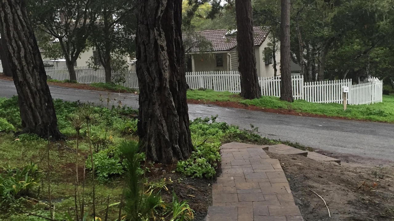 Photo of Others in Northeast Carmel