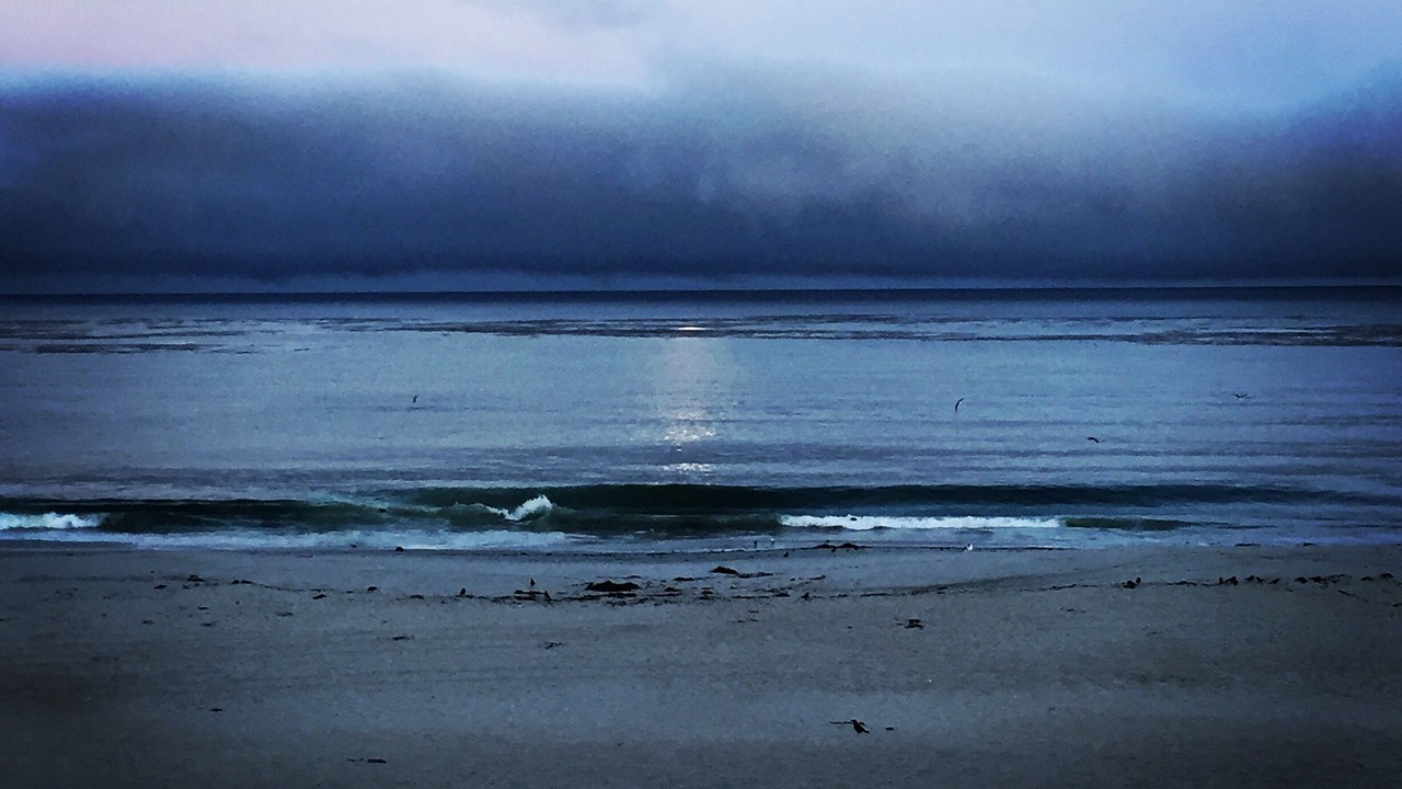 Photo of Others in Northeast Carmel