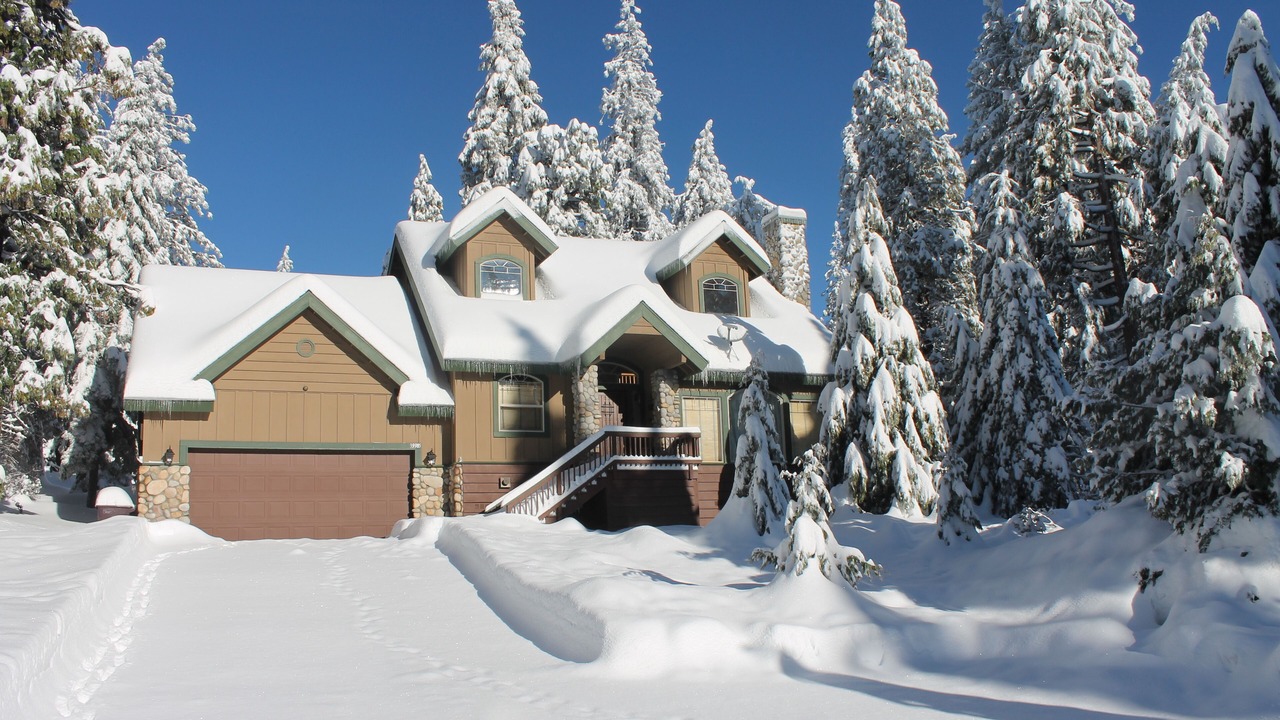 Photo of Outdoor in Shaver Lake
