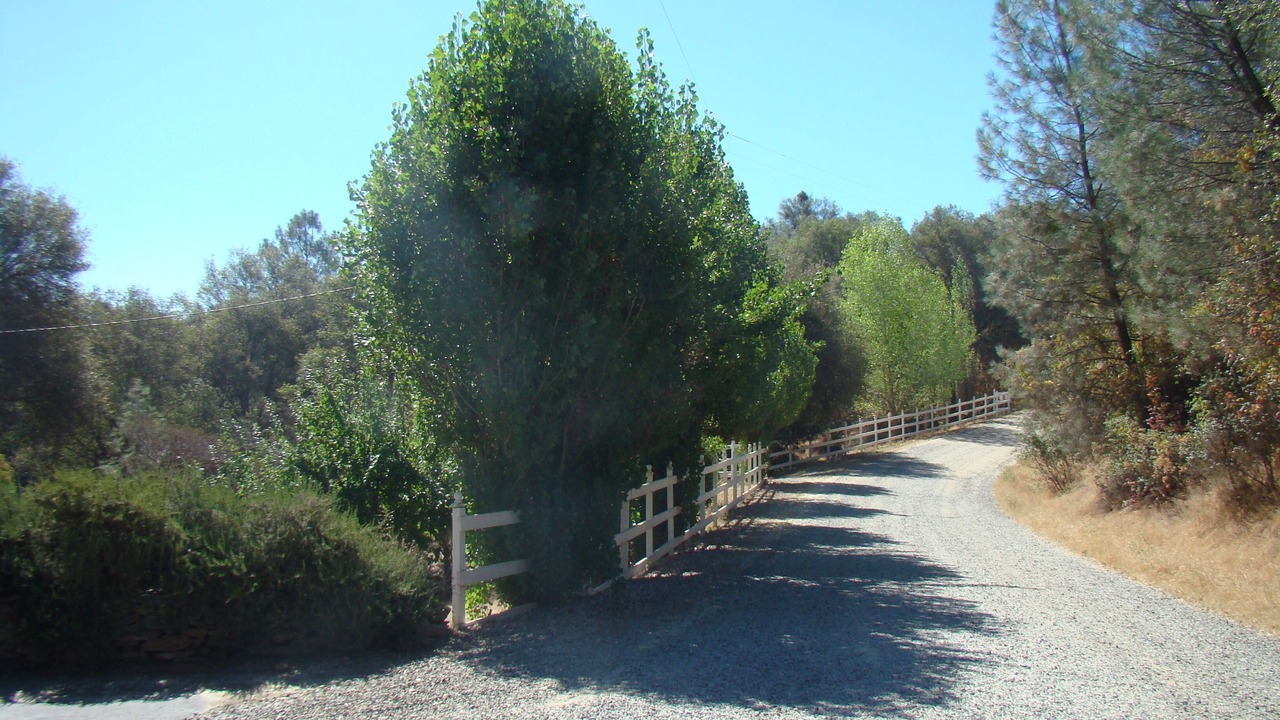 Photo of Outdoor in Mariposa