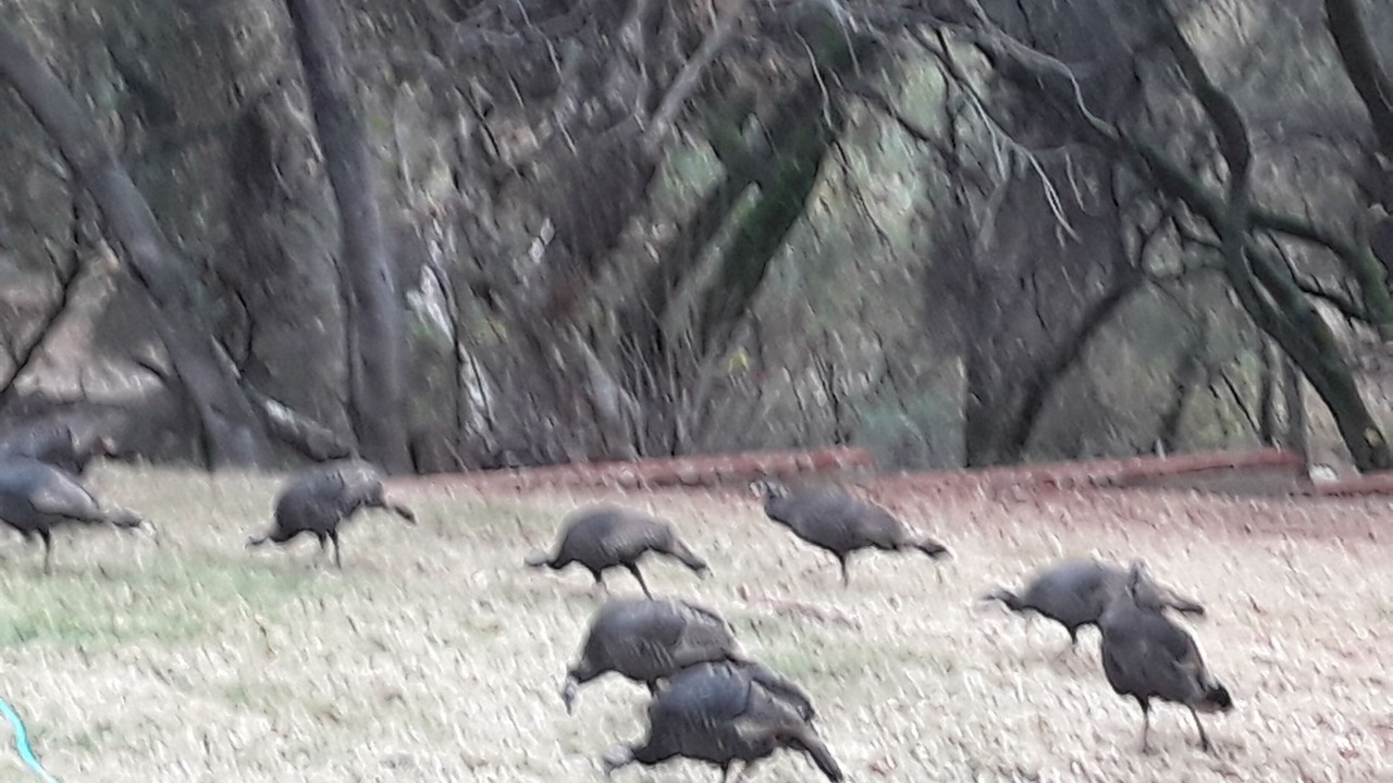 Photo of Others in Three Rivers
