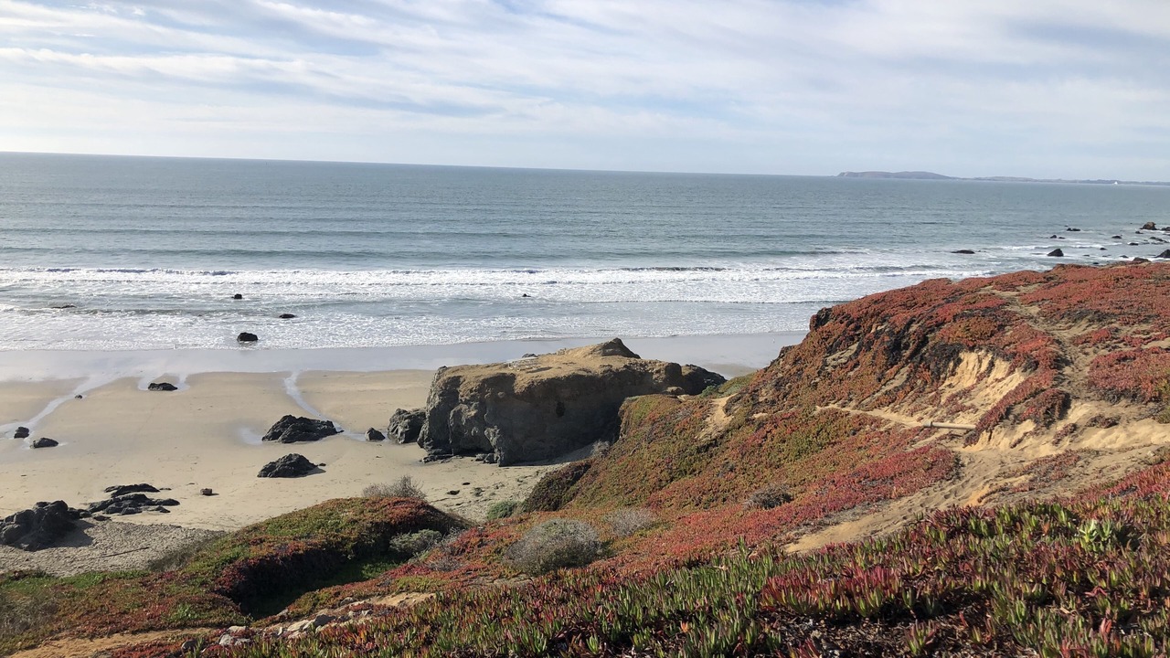Photo of Others in Dillon Beach