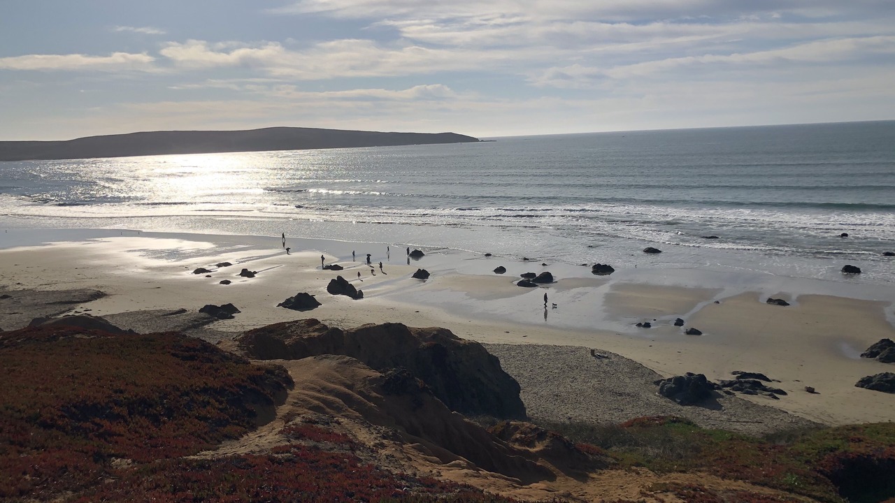 Photo of Others in Dillon Beach
