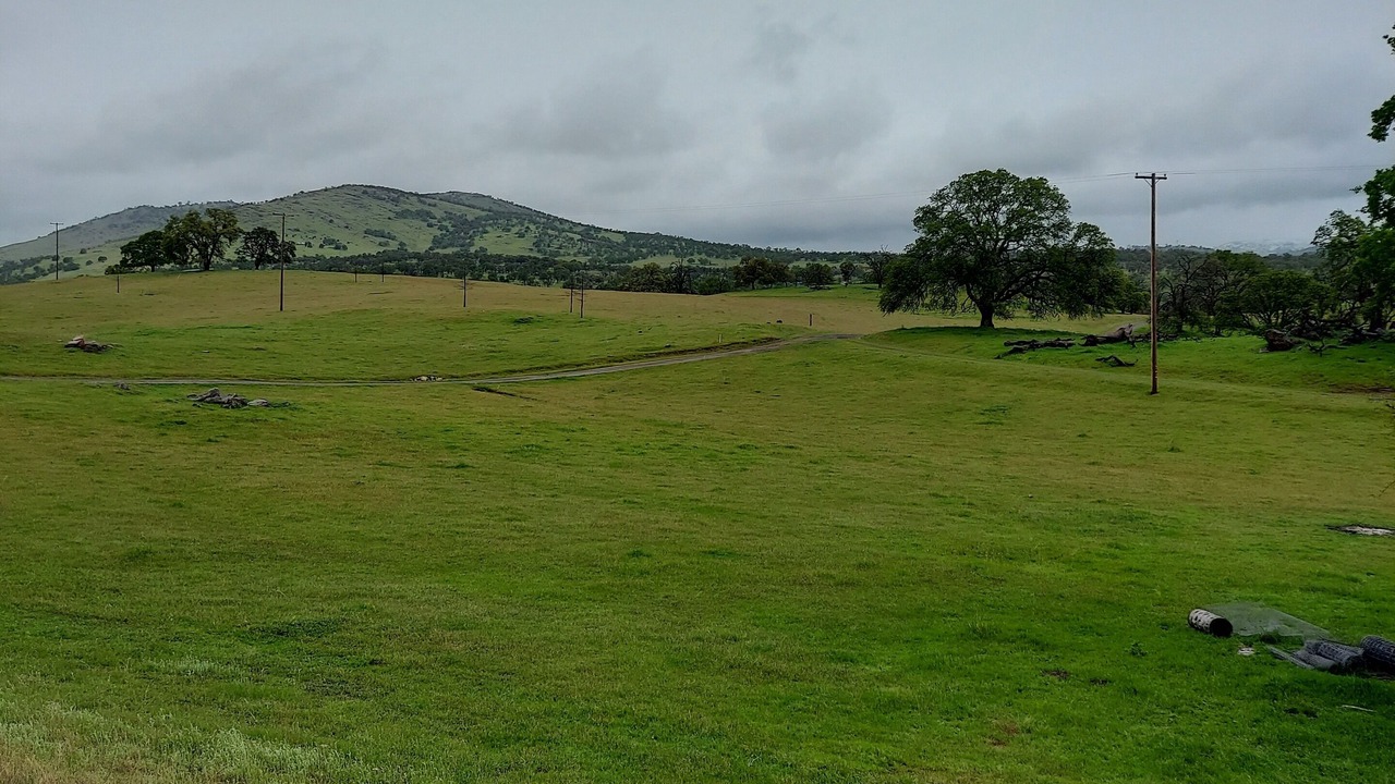Photo of Outdoor in Catheys Valley