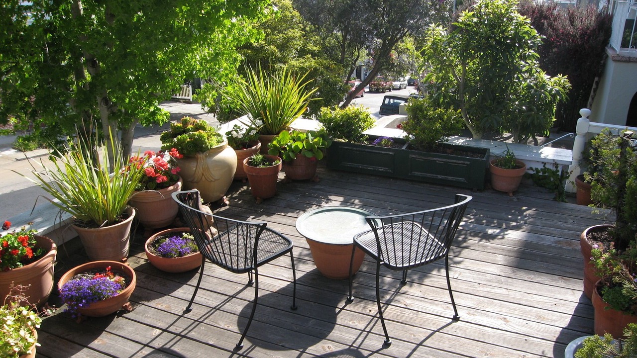 Photo of Others in Noe Valley