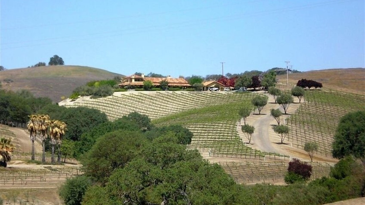 Photo of Others in San Miguel