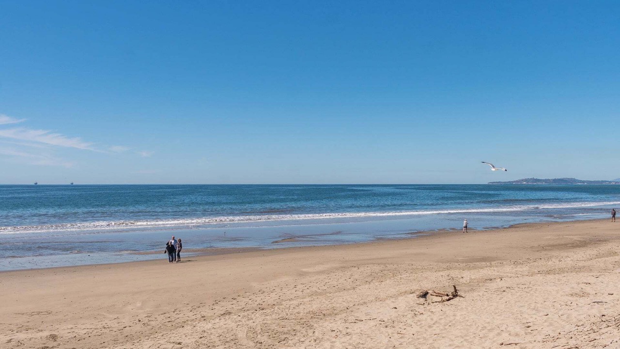 Photo of Others in Carpinteria