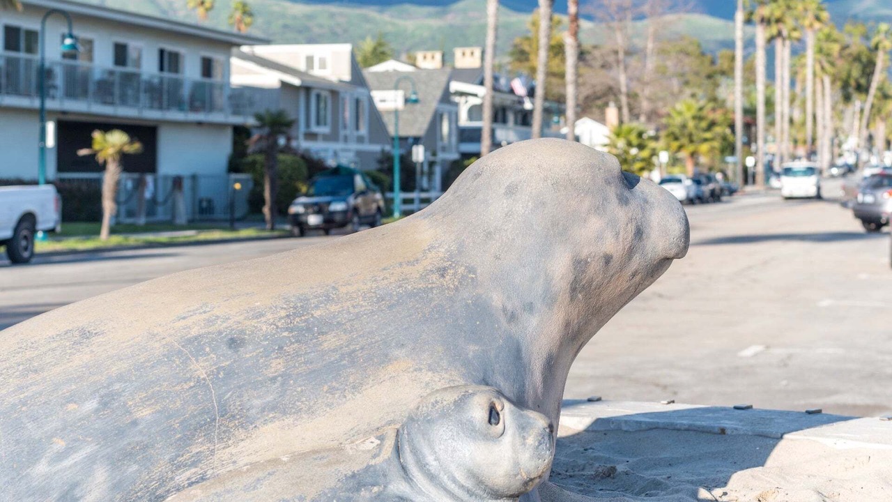 Photo of Others in Carpinteria