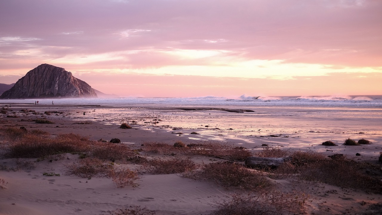 Photo of Others in Morro Bay
