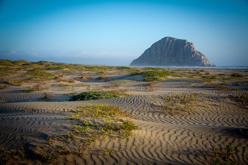 Photo of Others in Morro Bay