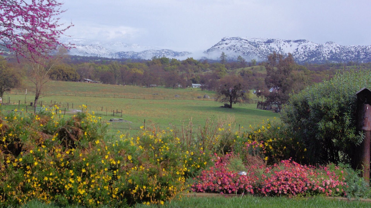 Photo of Outdoor in Clovis