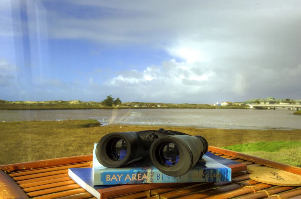 Photo of Others in Moss Landing