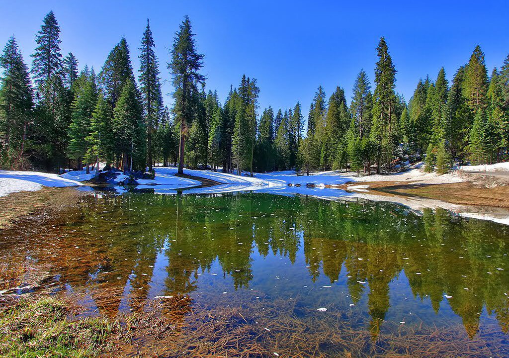 Photo of Outdoor in Fish Camp