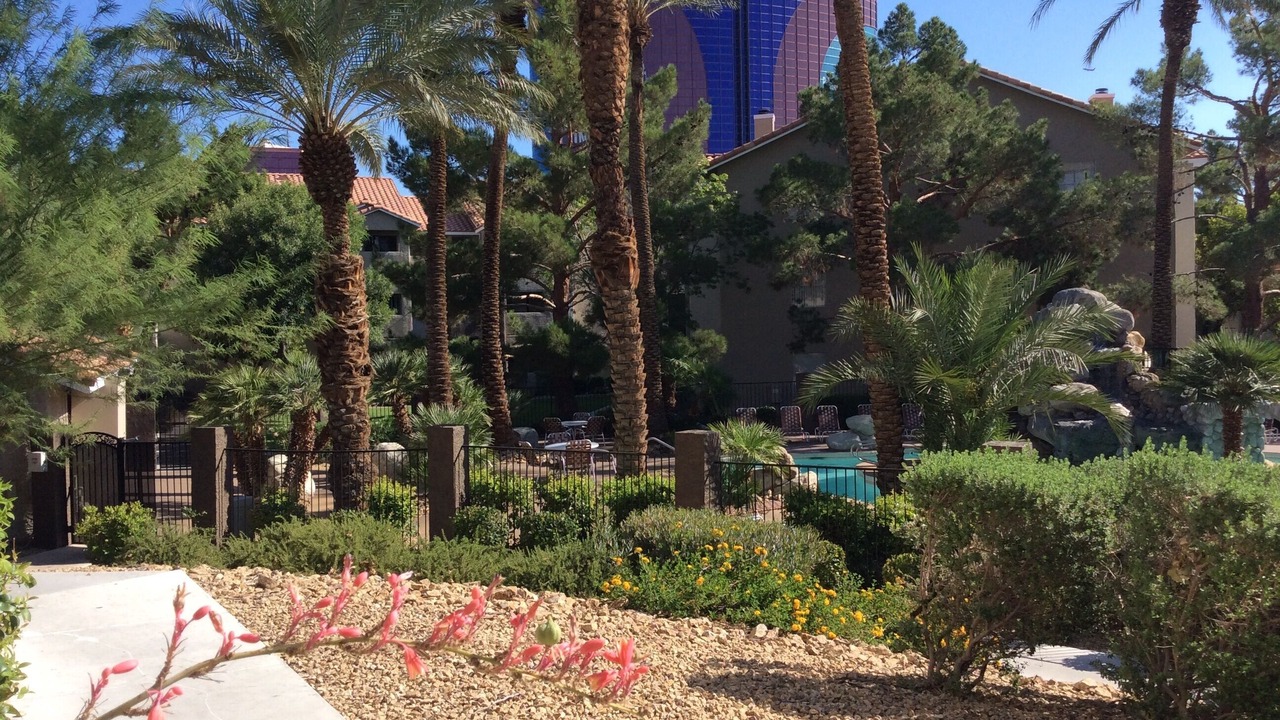 Photo of Outdoor in Las Vegas