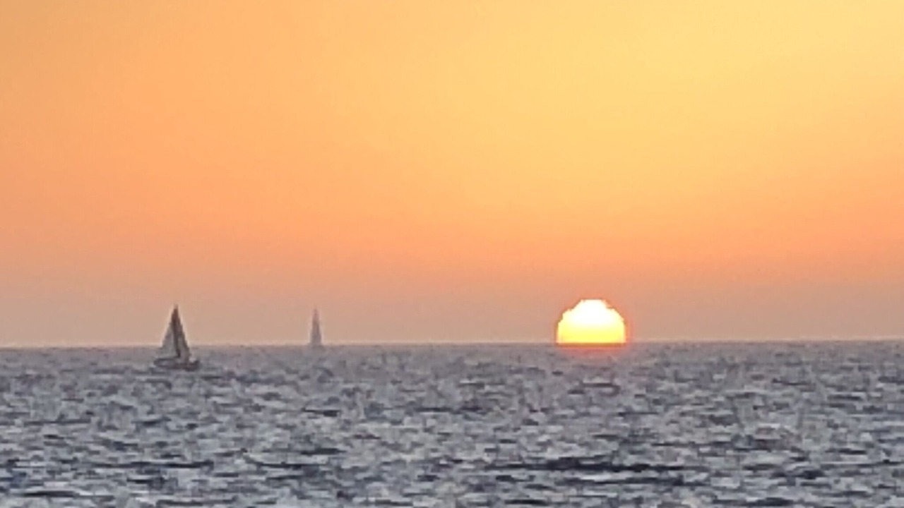 Photo of Others in Marina del Rey
