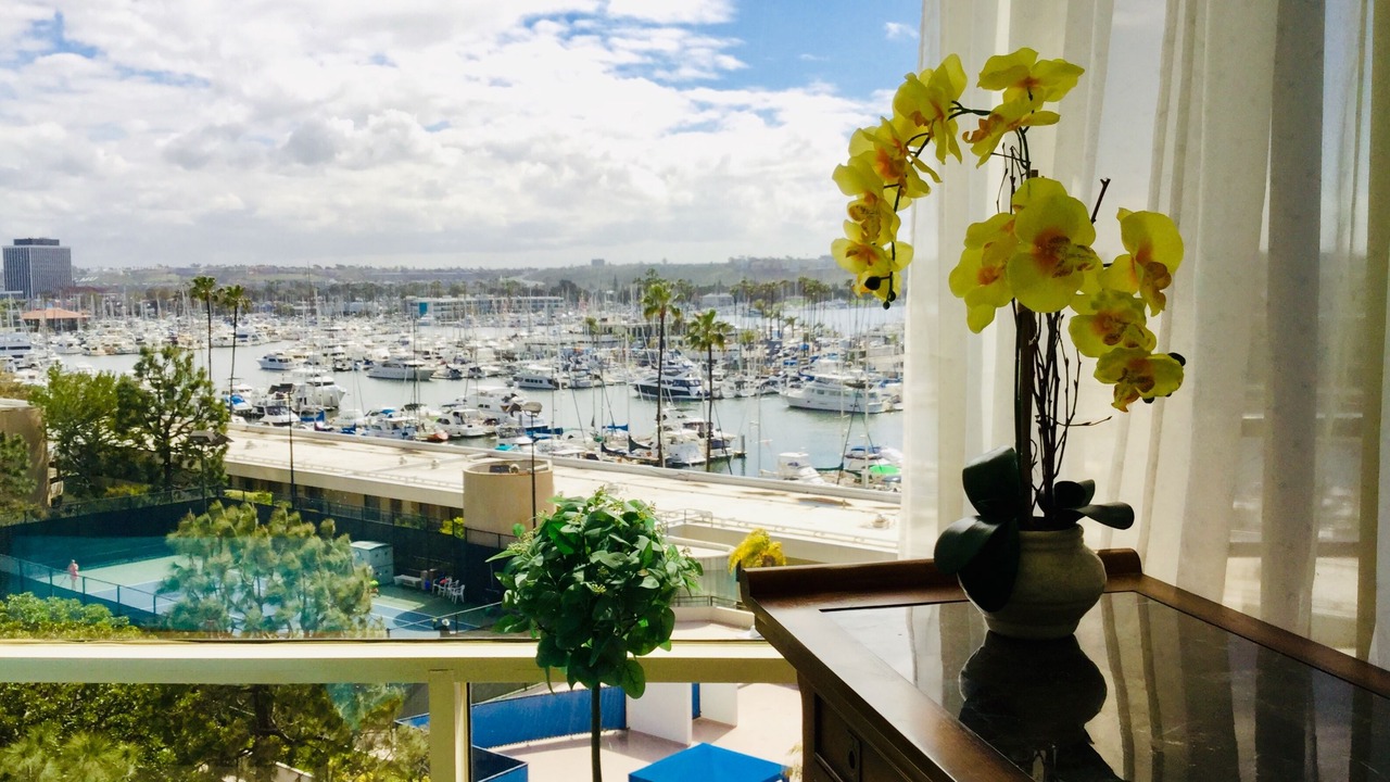 Photo of Outdoor in Marina del Rey