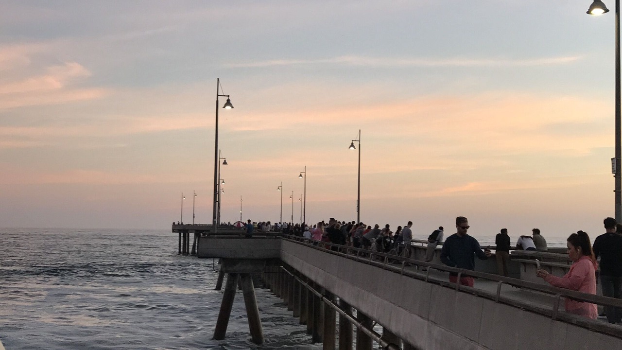 Photo of Others in Marina del Rey