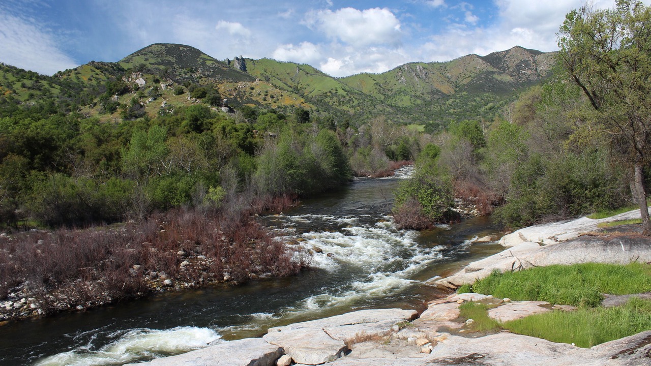 Photo of Others in Three Rivers