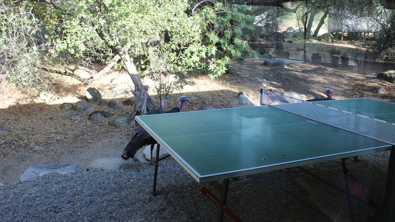 Photo of Outdoor in Three Rivers