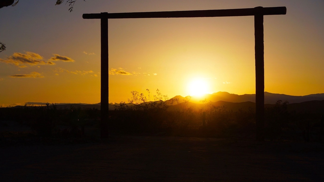 Photo of Others in Joshua Tree