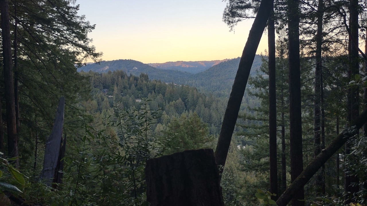 Photo of Outdoor in Felton