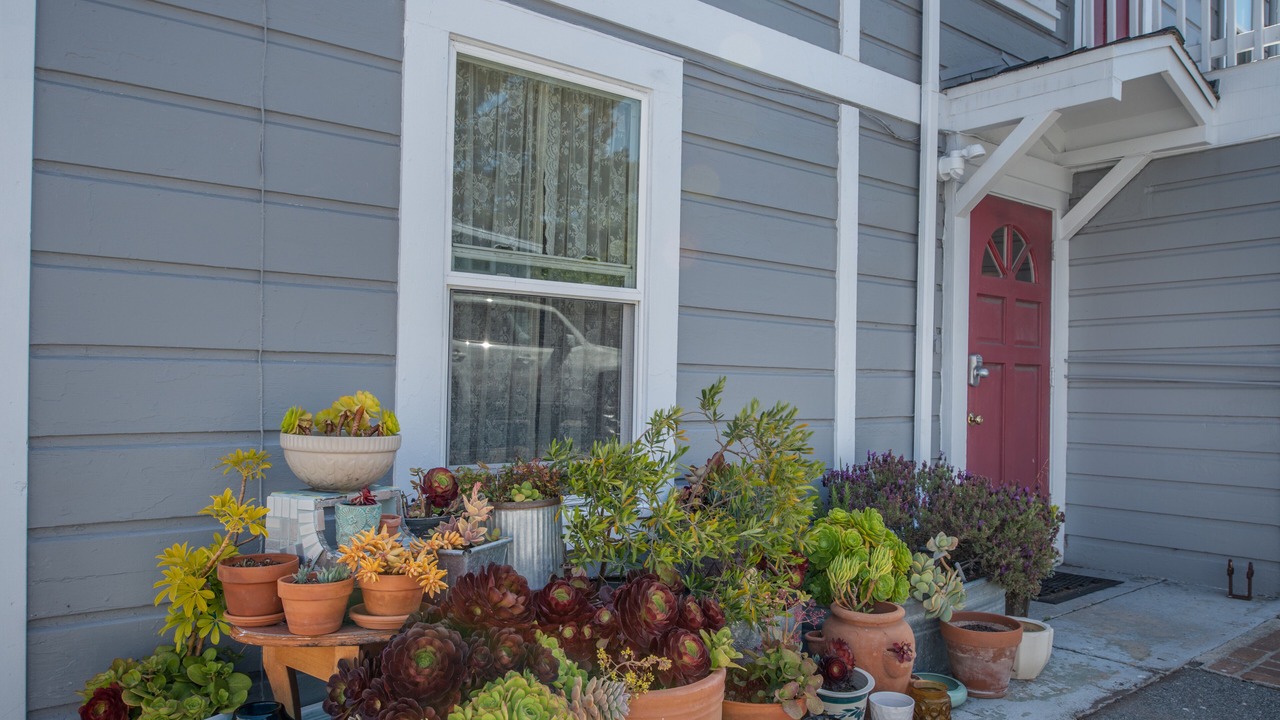 Photo of Outdoor in Monterey