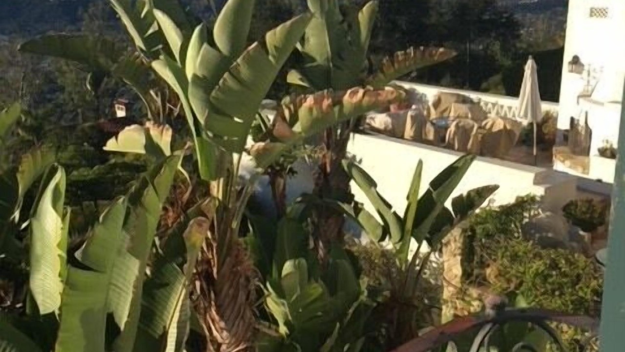 Photo of Patio Balcony in Upper Riviera