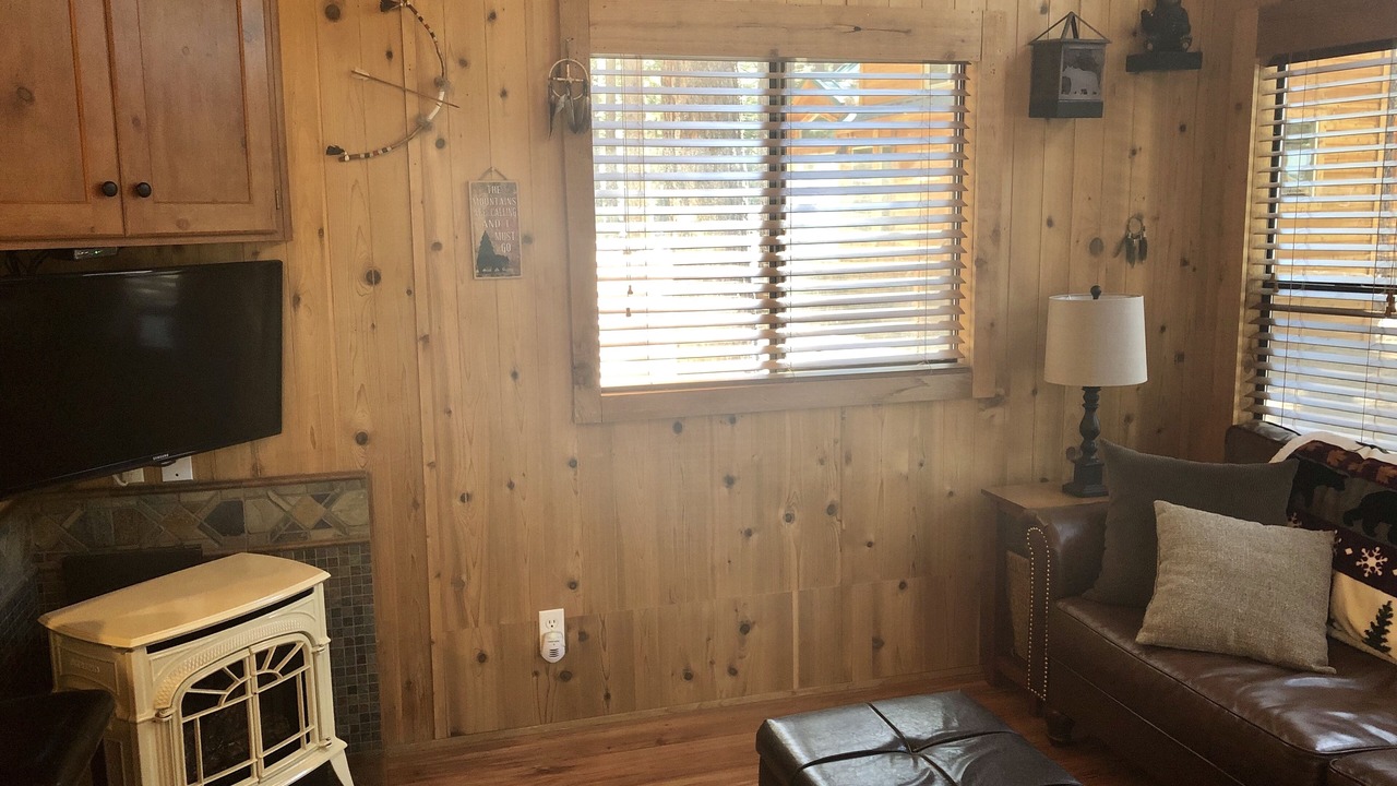 Photo of Livingroom in Tahoe Valley
