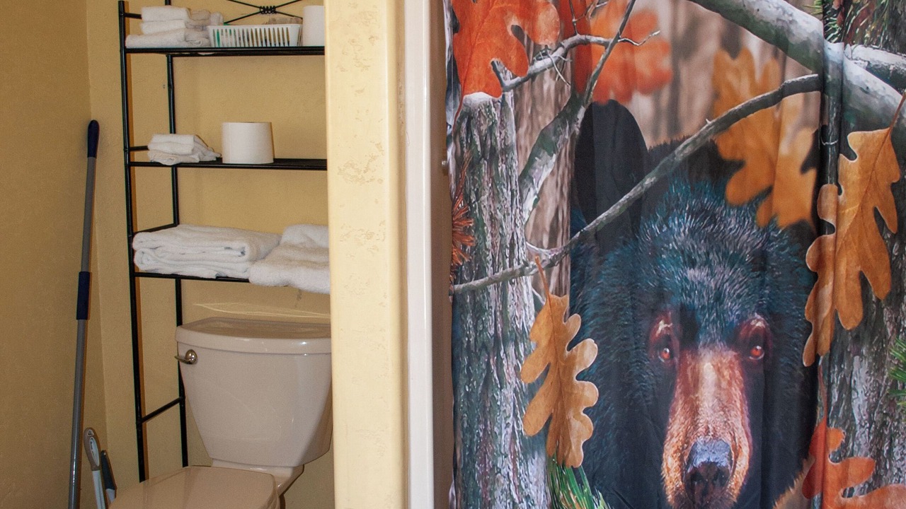 Photo of Bathroom in Three Rivers