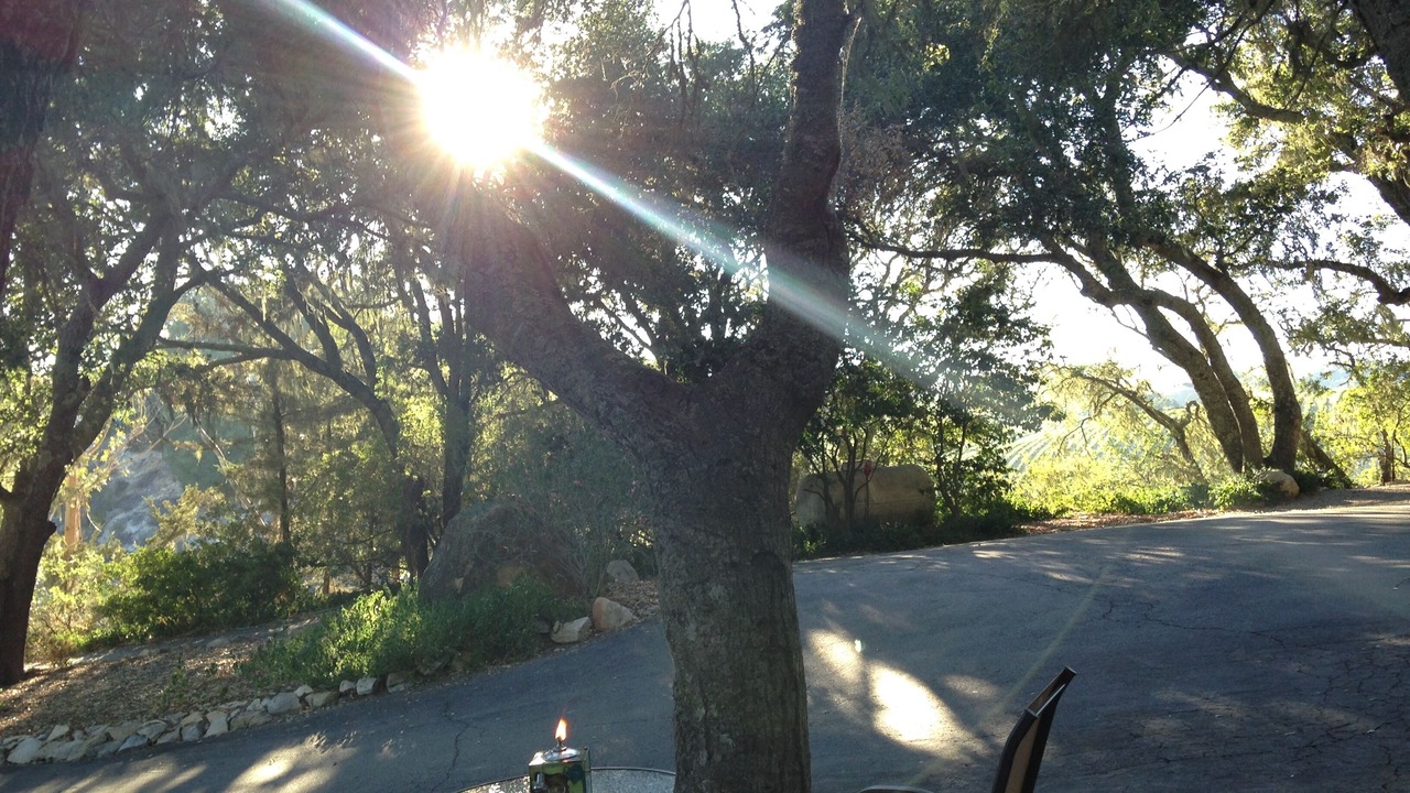 Photo of Outdoor in Paso Robles