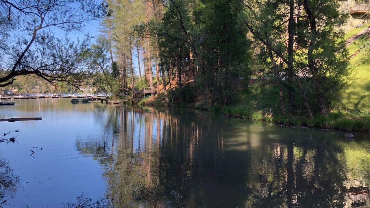 Photo of Outdoor in Groveland
