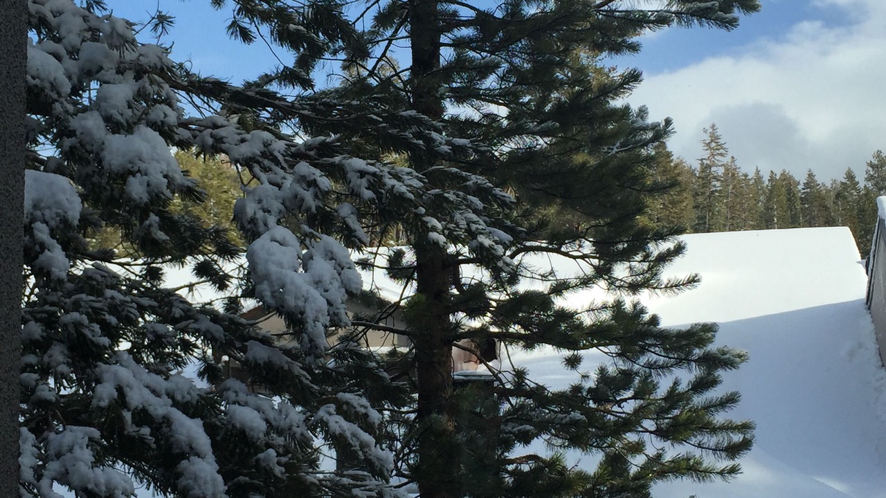 Photo of Bedroom in Mammoth Lakes