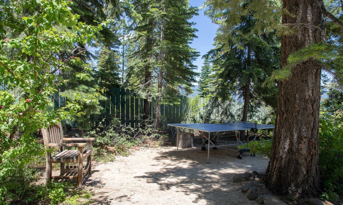 Photo of Others in Tahoe City