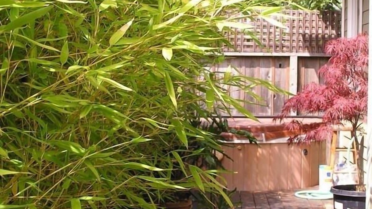 Photo of Outdoor in Westside Santa Cruz