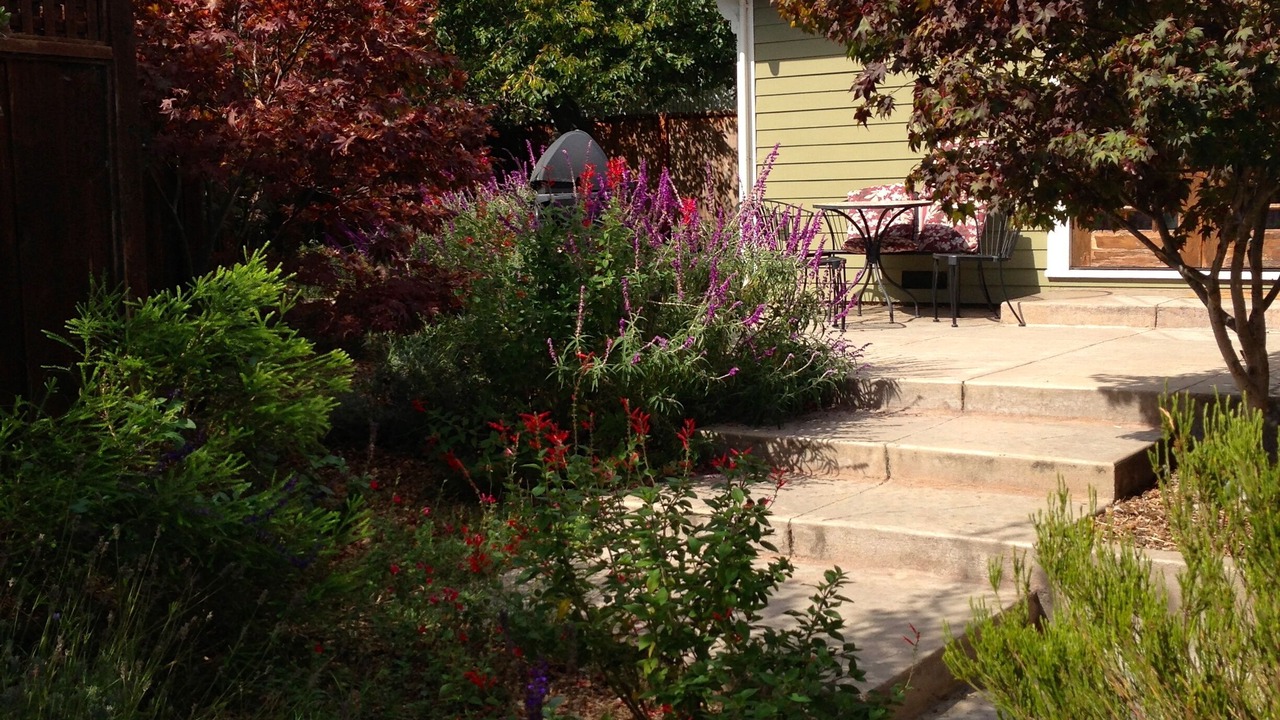 Photo of Outdoor in Westside Santa Cruz