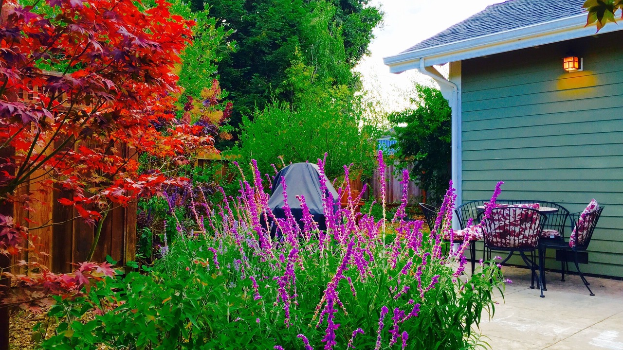 Photo of Outdoor in Westside Santa Cruz