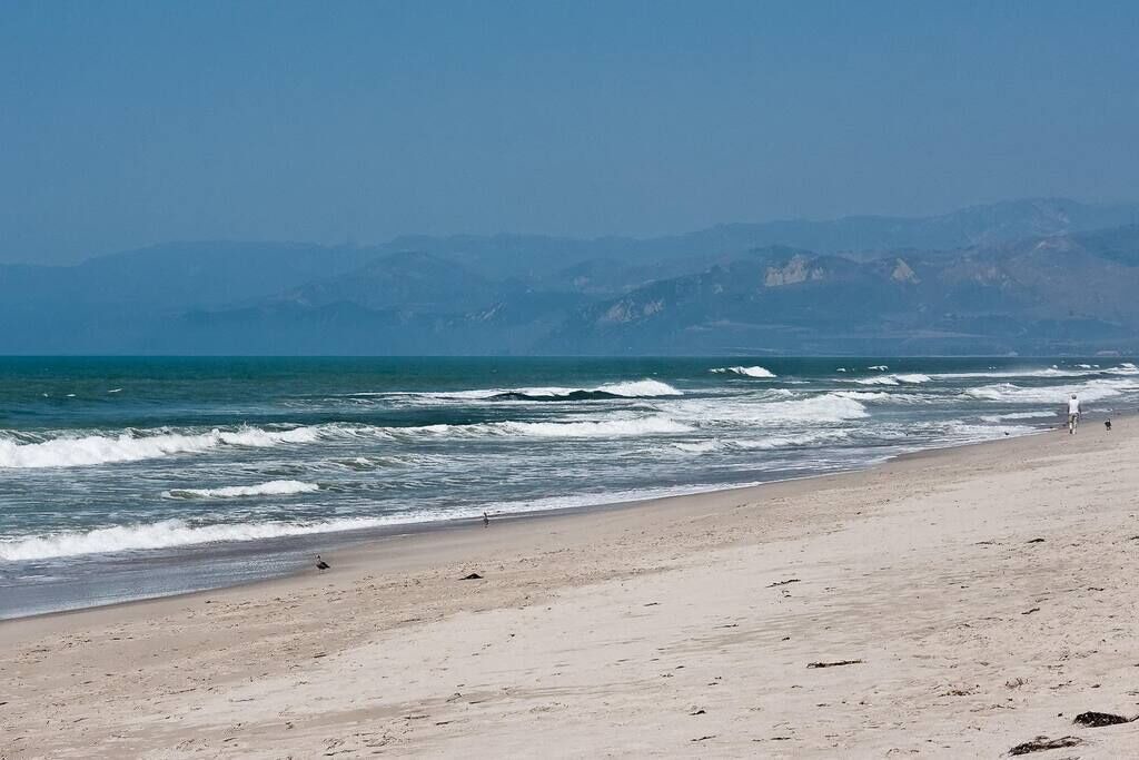 Photo of Others in Oxnard Dunes